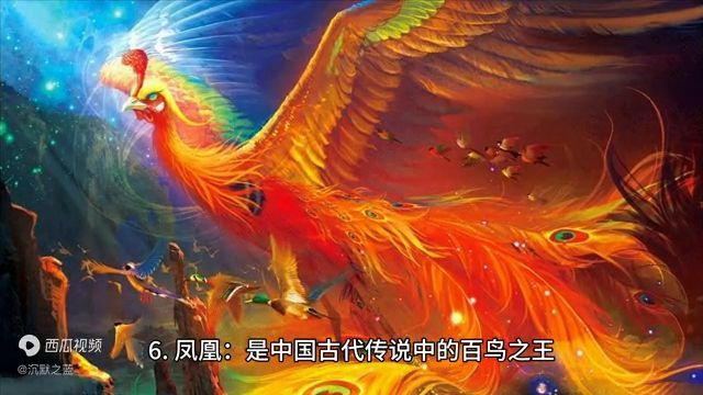 十大祥瑞之兽分别是（传说中的十大上古神兽）(图4)