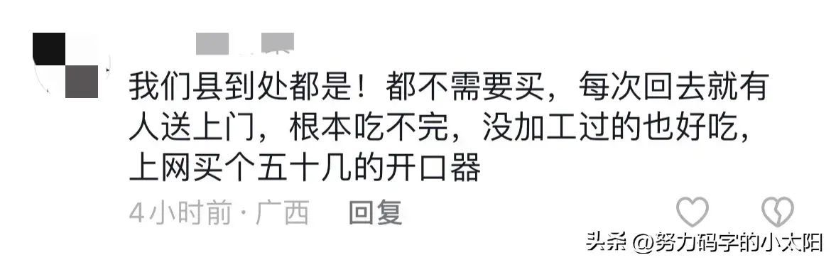 夏威夷果市场价多少钱一斤（破防了！广西居然也有夏威夷果，网友：妈，你瞒得太深了！）(图9)