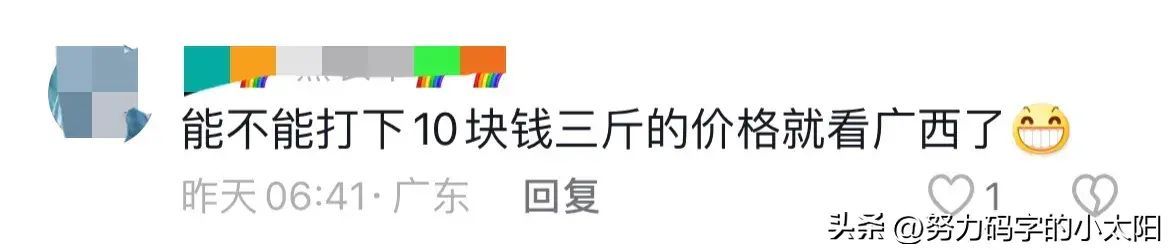 夏威夷果市场价多少钱一斤（破防了！广西居然也有夏威夷果，网友：妈，你瞒得太深了！）(图12)