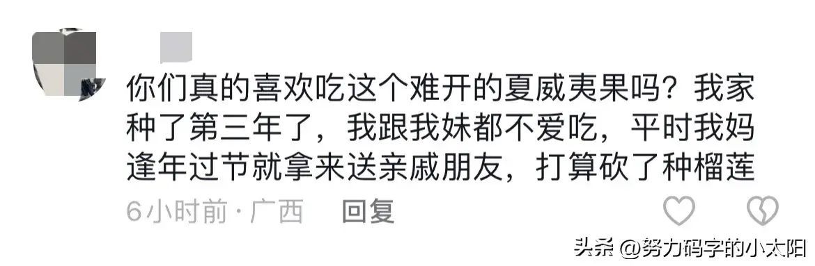 夏威夷果市场价多少钱一斤（破防了！广西居然也有夏威夷果，网友：妈，你瞒得太深了！）(图14)