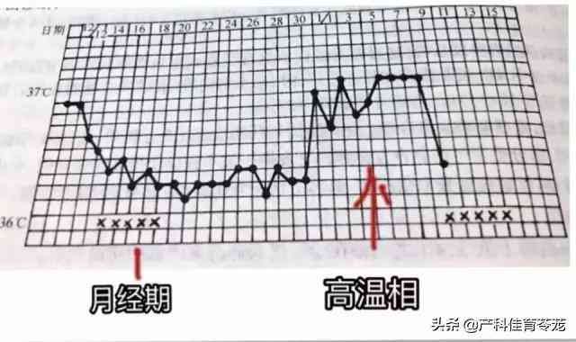 中年女人月经来个不停怎么回事（老是来月经，警惕恶性疾病）(图4)