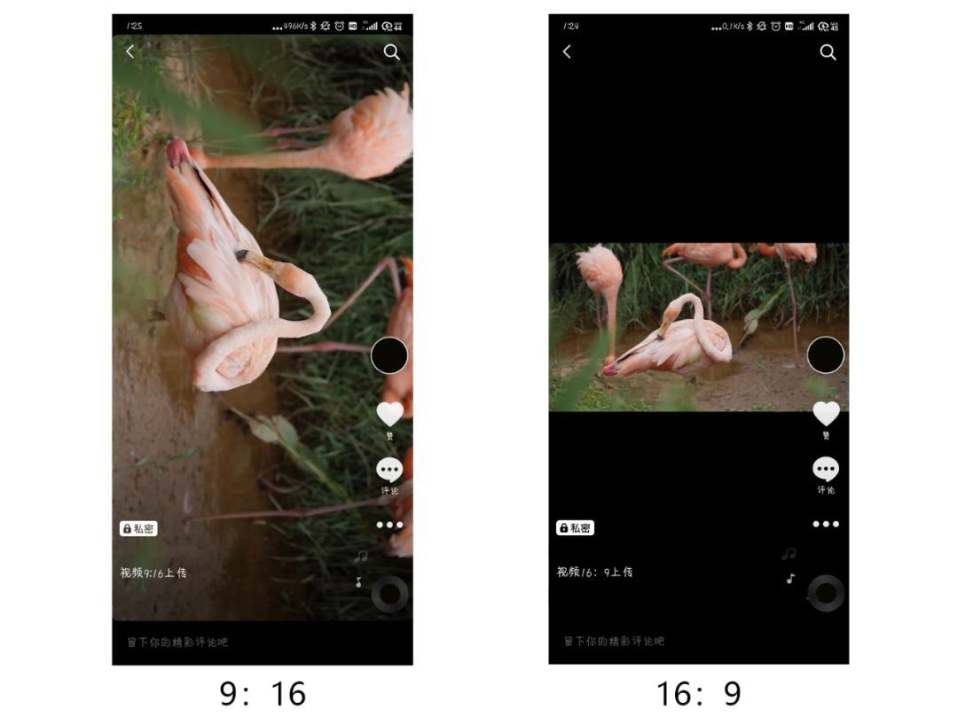抖音视频怎么放大（如何让自己的抖音视频更高清？测试一天后，偷偷告诉你）(图7)
