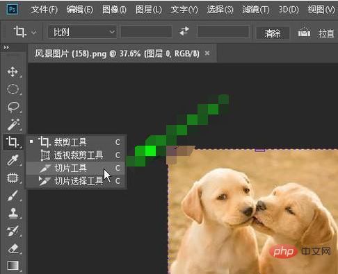 ps切片工具切图后怎么保存（ps切片怎么导出）(图3)