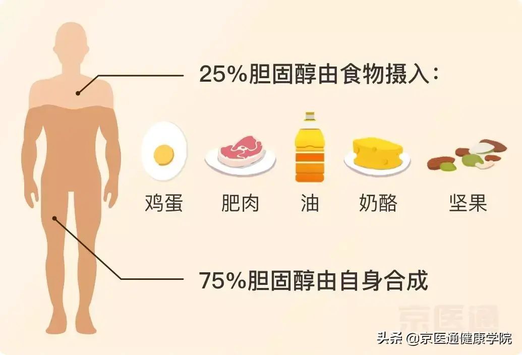 土鸡蛋和普通鸡蛋的区别（土鸡蛋和普通鸡蛋有什么不同？选鸡蛋一定要做到这条）(图7)