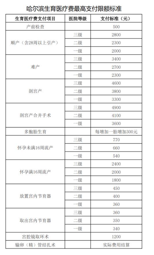 男职工生育险报销流程（男职工生育险的报销流程（以黑龙江哈尔滨为例））(图1)