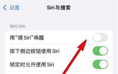 苹果siri怎么设置主人的声音（苹果siri主人声音设置教程）