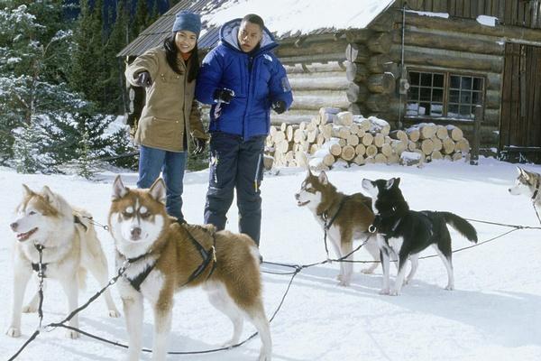 关于雪橇狗的电影（十三部犬类电影，狗是人类最忠实的朋友，）(图11)