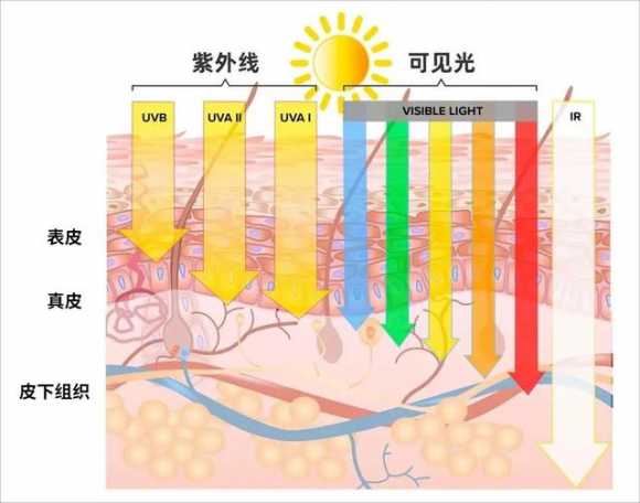 女防晒衣品牌排行榜前十名（推荐一款真防晒的防晒衣）(10)