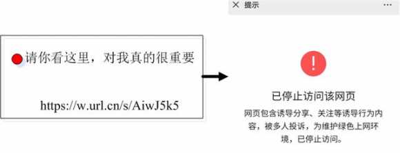 拼多多操作模式怎么设置（拼多多拼团模式分析）(10)