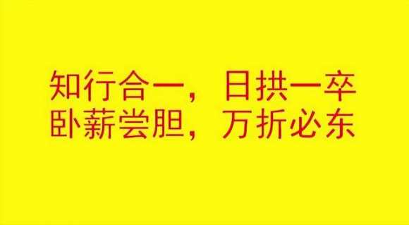 阿里巴巴怎么运营推广（新手卖家怎么运营阿里巴巴）(1)