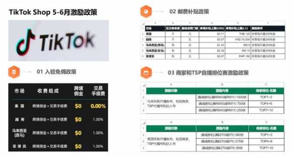 海外知名电商平台分析（东南亚电商5大平台数据分析）(10)